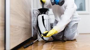 Best Fumigation Services  in South Bend, IN